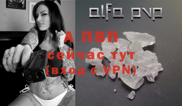 спиды Богданович