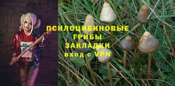 ECSTASY Богородск