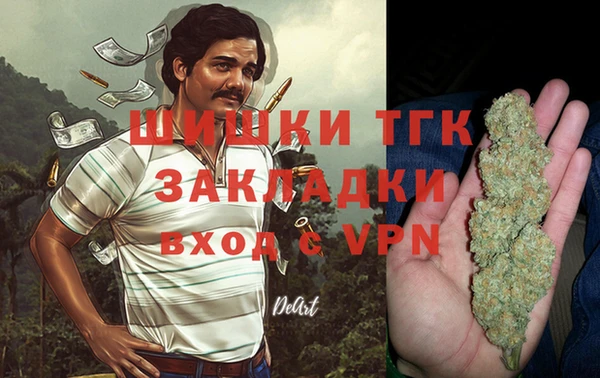 спиды Богданович