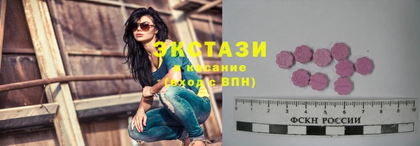 ECSTASY Богородск