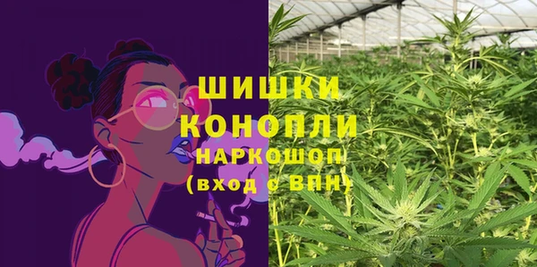 спиды Богданович