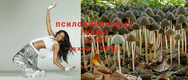 ECSTASY Богородск