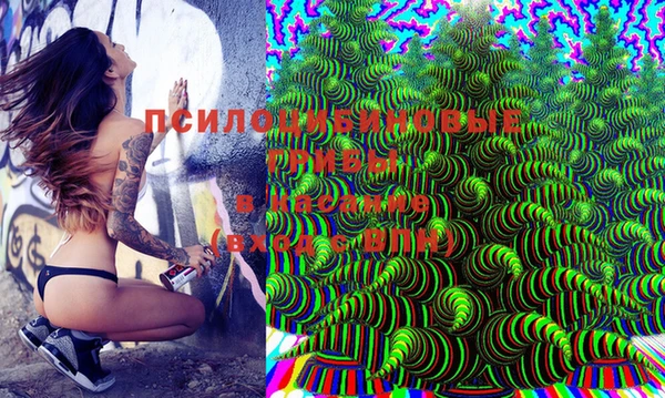мяу мяу мука Богородицк