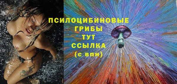 спиды Богданович