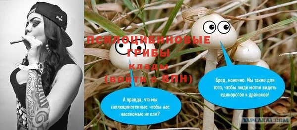 спиды Богданович
