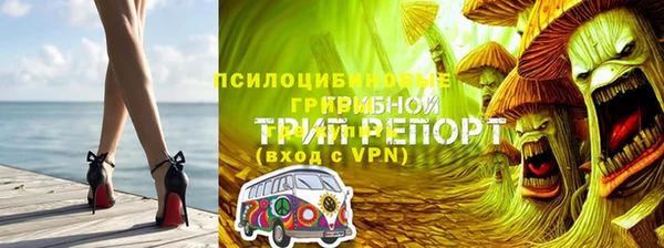 ECSTASY Богородск