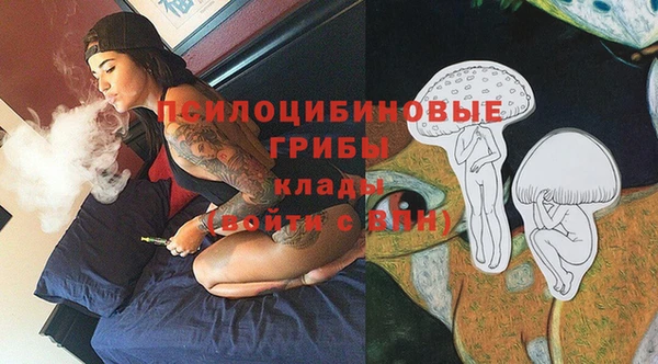 спиды Богданович