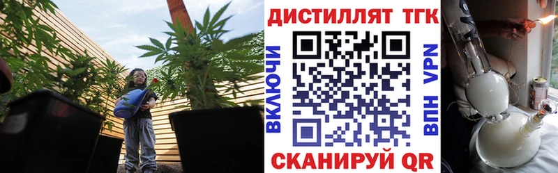 Купить где  Ермолино  ТГК Wax 