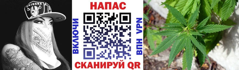 МАРИХУАНА Bruce Banner  Купить  Ермолино 
